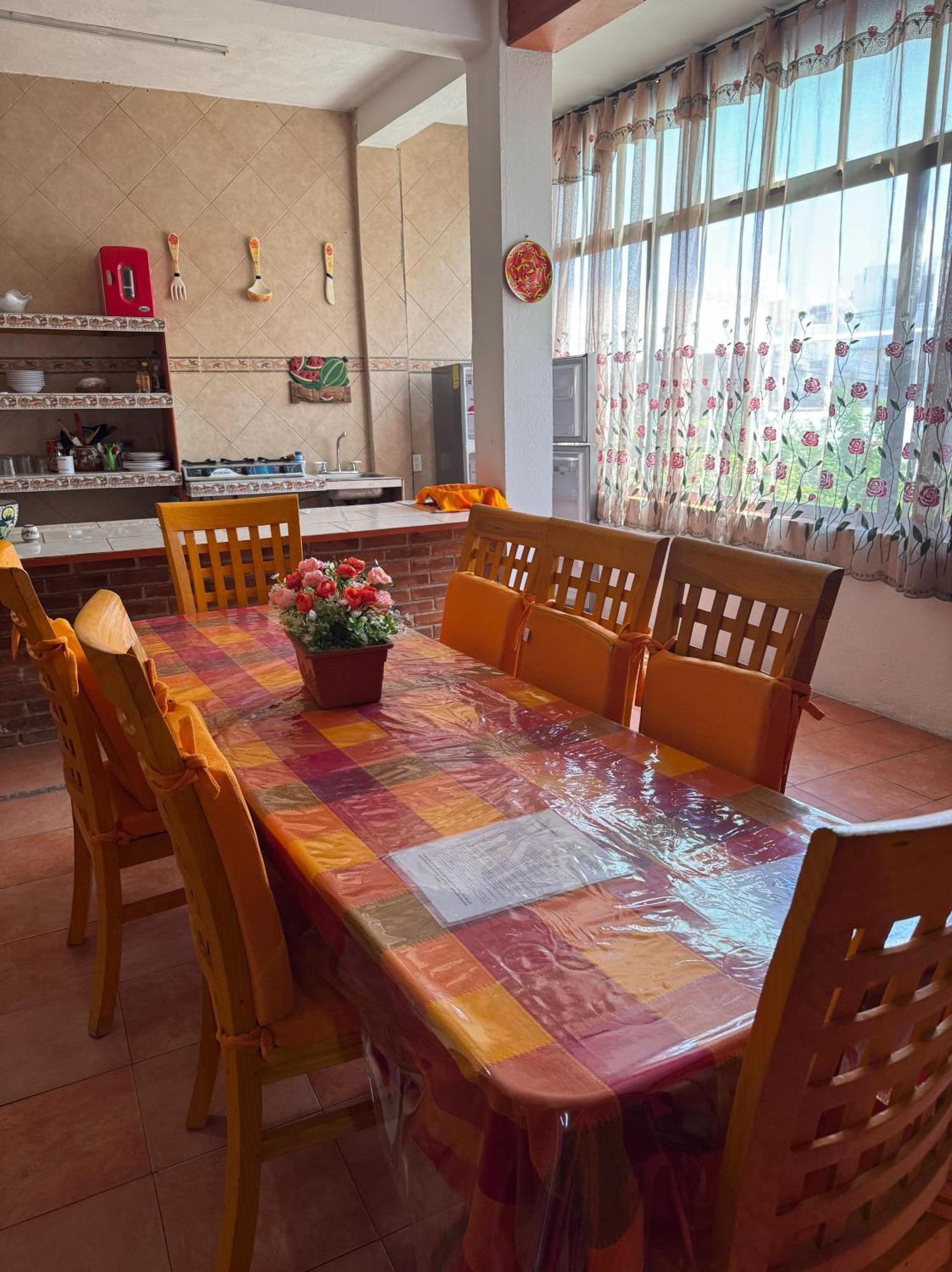 México Lindo Séjour chez l'habitant
