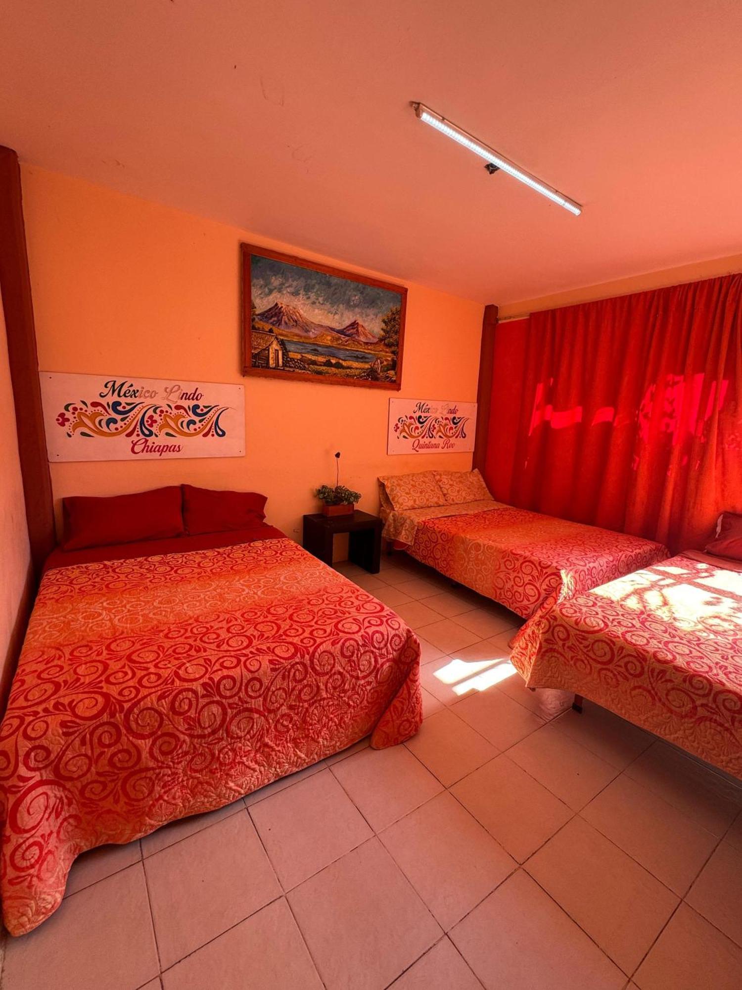 Séjour chez l'habitant México Lindo